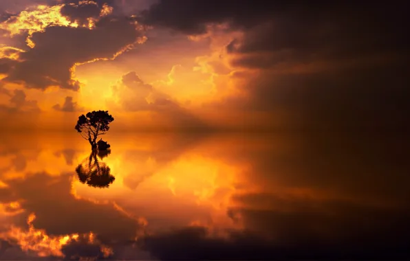 Clouds, lake, reflection, tree