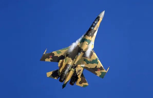 Fighter, Dry, Su-35BM, '901'