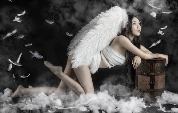 Picture pose, wings, feathers, Asian, chest