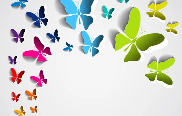 Butterfly, background, colored