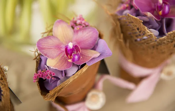 Flowers, petals, Orchid, hydrangea, baskets