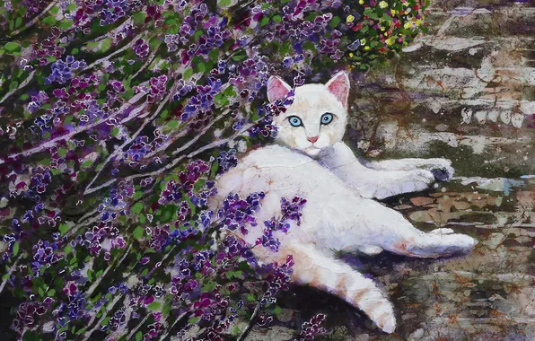Cat, nature, picture