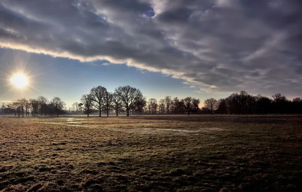 Picture field, landscape, nature