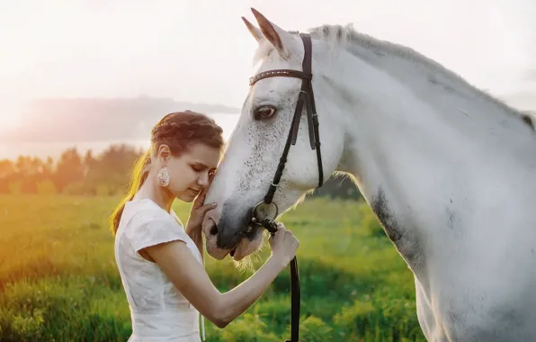 Picture summer, girl, nature, horse