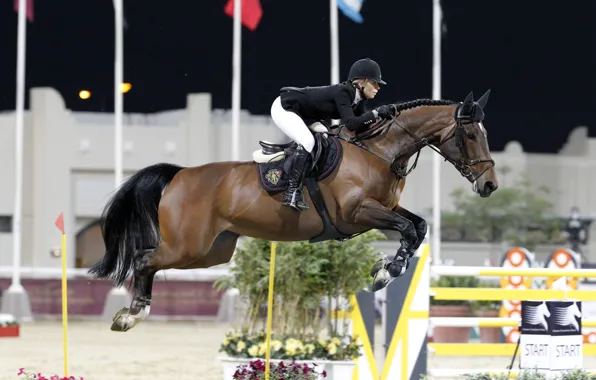 Picture horse, sport, horse, rider, jumping, horse riding, show jumping, edwina tops-alexander
