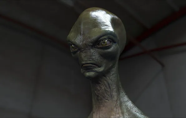Alien, aliens, fantastic, portrait, other