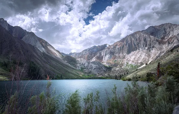 Forest, the sky, clouds, trees, mountains, branches, lake, overcast