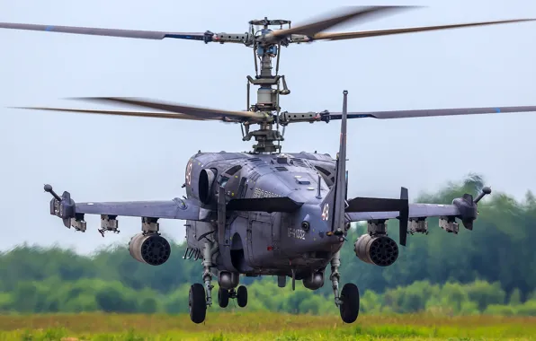 Picture helicopter, the rise, Russian, Ka-52, shock, "Alligator"