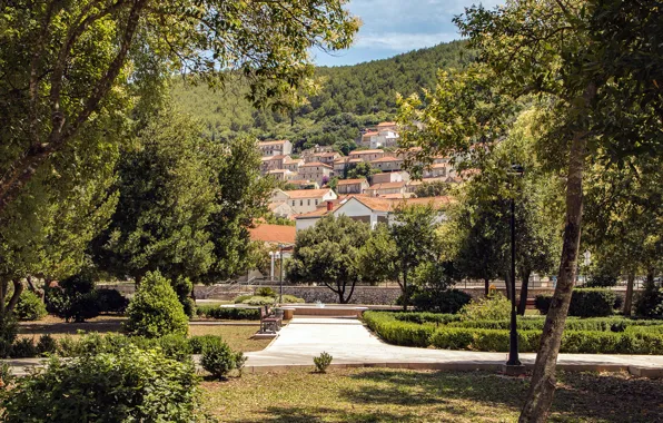 Picture photo, Home, The city, Trees, The bushes, Park, Croatia, Blato, Korcula Island