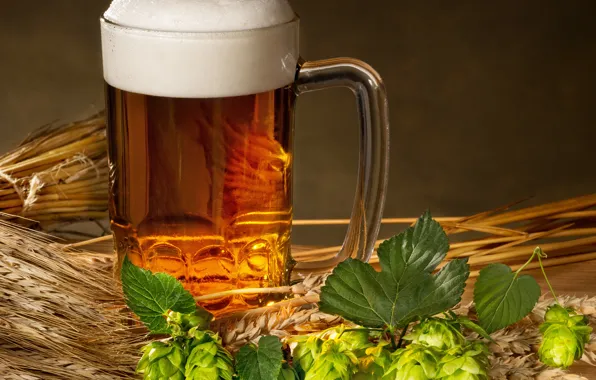 Foam, beer, mug, ears, hops