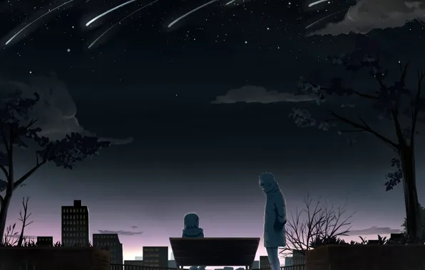 The sky, girl, stars, bench, guy