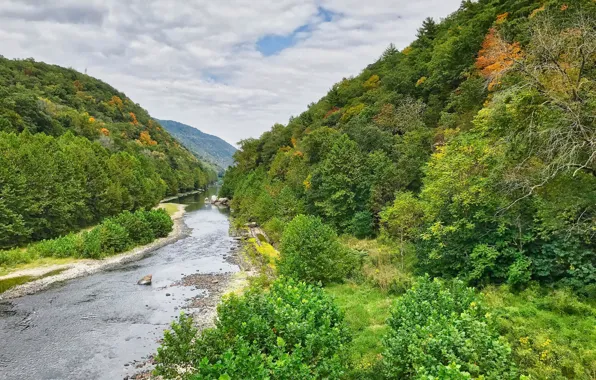Picture trees, mountains, nature, river, USA, Potomac