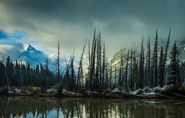 Winter, autumn, forest, clouds, trees, mountains, branches, lake