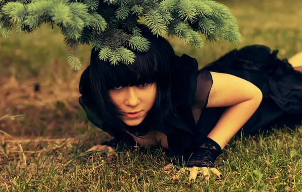 Picture grass, spruce, dress, DariaDreary