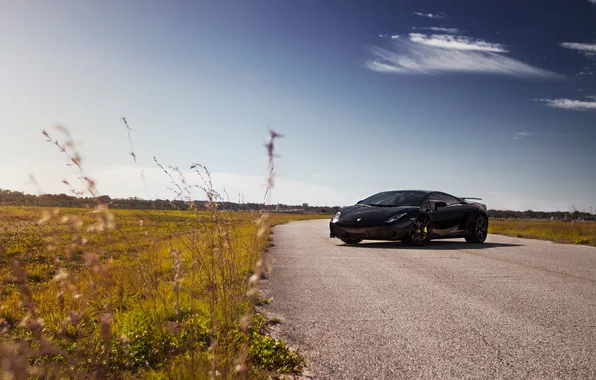 Road, the sky, black, shadow, gallardo, lamborghini, black, Lamborghini