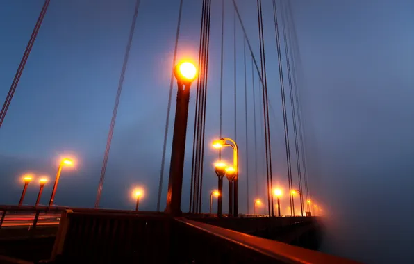 Picture night, bridge, lights
