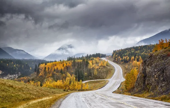 Road, autumn, Canyon Creek valley