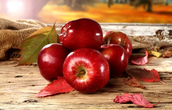 Autumn, leaves, red apples