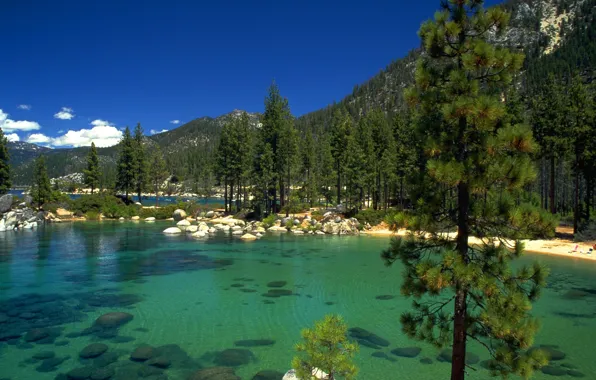 Forest, lake, stones, California, Lake Tahoe