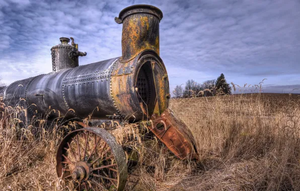 Field, nature, the engine