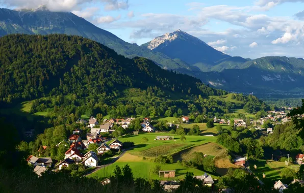 Greens, mountains, field, houses, forest, Slovenia, Zgornje Gorje
