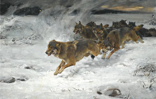 Dogs, snow, dawn, pack, artist, Alfred Kowalski-Verush