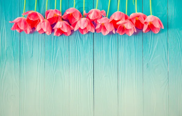 Flowers, tulips, wood, tulips, gift