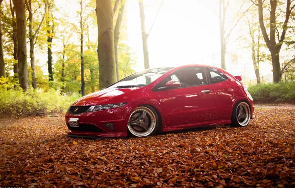 Picture forest, red, Honda, red, Honda, Civic, civici, Stance