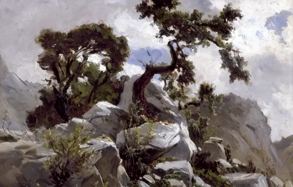 Picture trees, nature, stones, rocks, picture, Carlos de Haes, Mountain Landscape