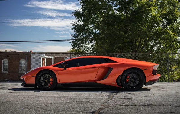 Lamborghini, side, view, orange, aventador