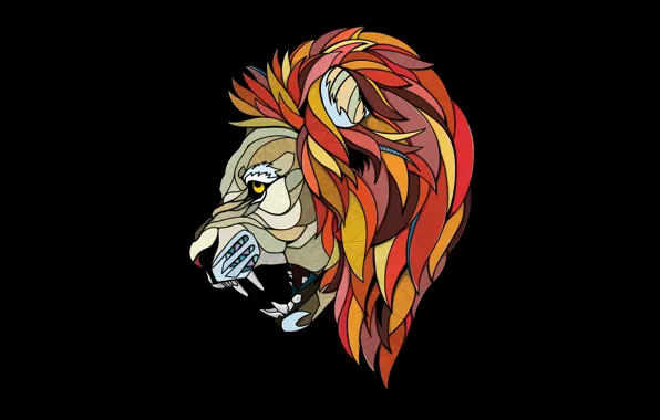 Cat, Leo, mane, roar