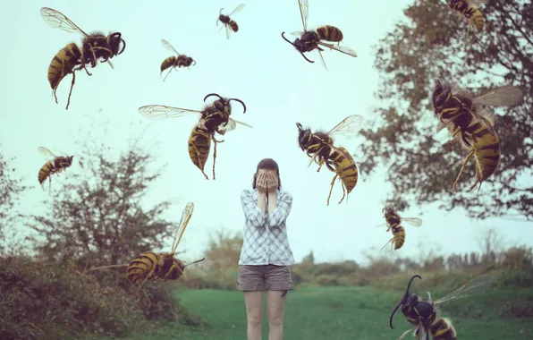 Picture girl, insects, sleep, wasps, bees