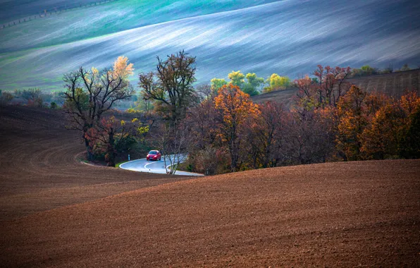 Picture road, machine, autumn, trees, landscape, nature, car