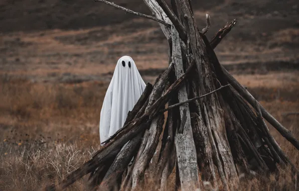 Field, grass, cast, log