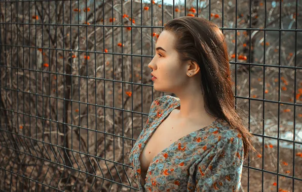 The sun, model, portrait, makeup, dress, the fence, hairstyle, brown hair
