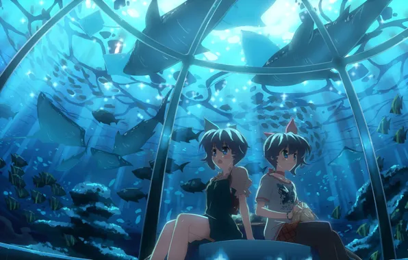 Fish, aquarium, Anime