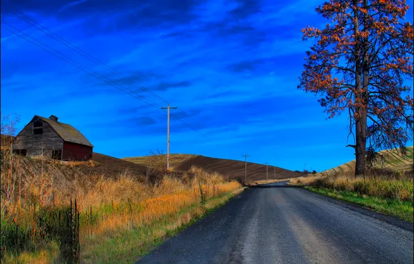 Road, autumn, the sky, grass, clouds, trees, home