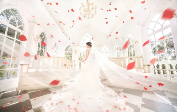 Picture white, girl, light, flowers, pose, interior, petals, dress