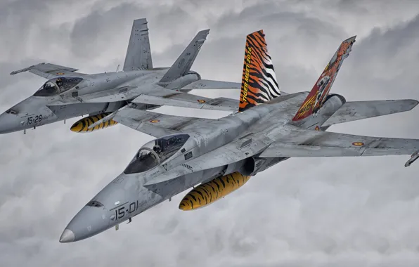 Fighter, Pilot, Obloka, F/A-18 Hornet, Cockpit, The air force of Spain, PTB