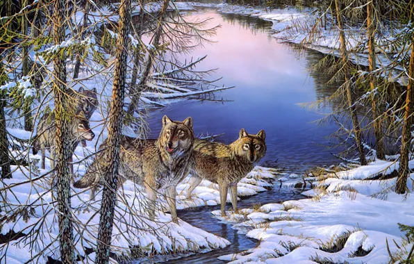 Winter, forest, snow, trees, landscape, nature, river, shore