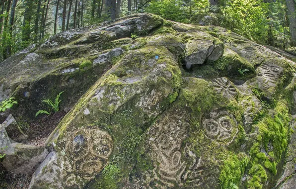 Forest, stone, Canada, British Columbia, petroglyphs, Bella Coola