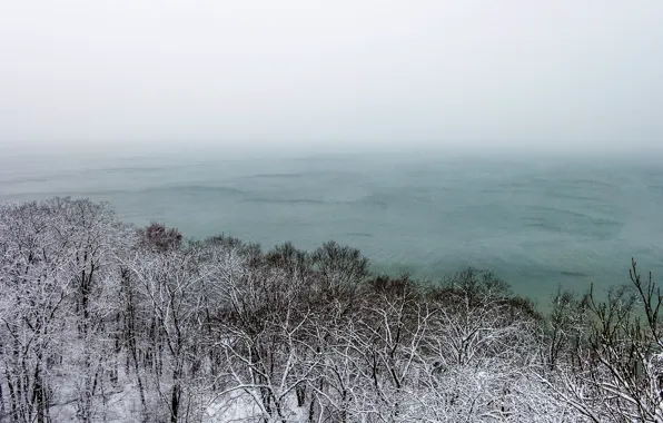 Picture sea, snow, trees, nature, fog