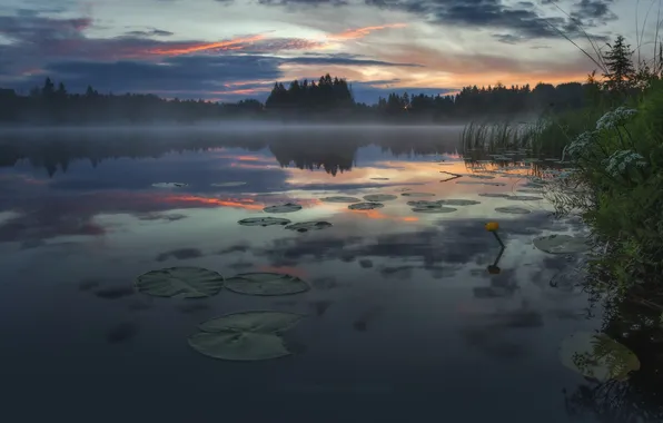 Lake, vegetation, tale, space, haze, the beauty of nature, Between dusk and dawn, Shchepotina Tatiana