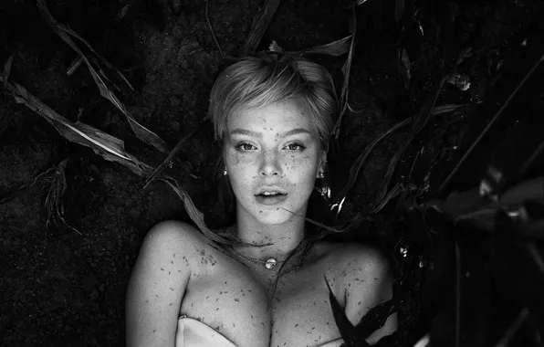 Picture tattoo, freckles, sponge, Abramyan Karen