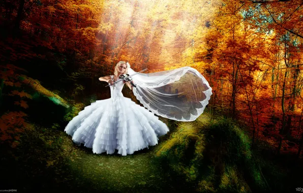 Picture autumn, girl, joy, happiness, violin, dress, art, the bride