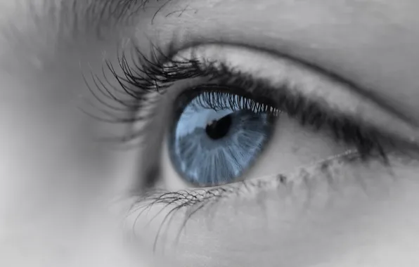 Eyes, macro, background