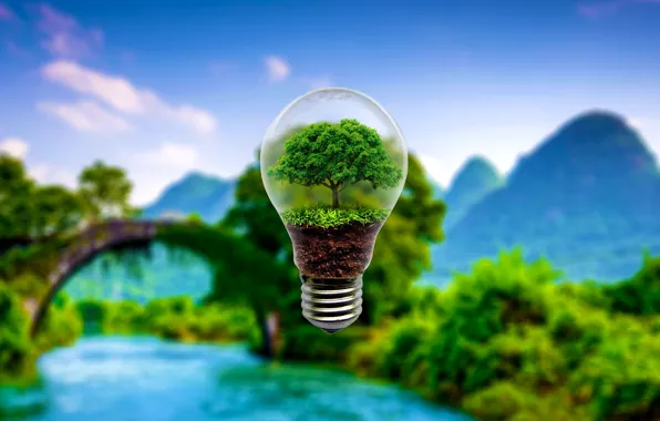 Picture grass, light bulb, background, tree, blur