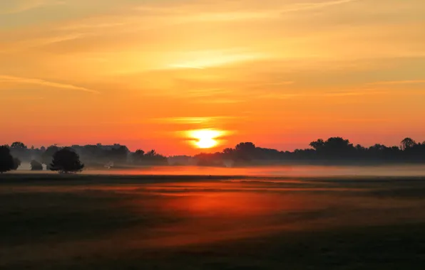 Field, sunset, fog