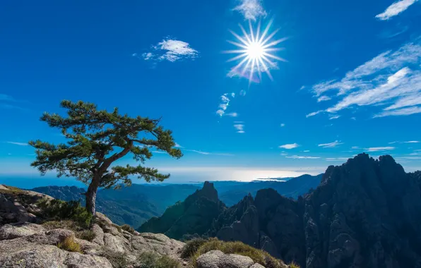 The sky, the sun, mountains, tree, France, France, Corsica, Corsica