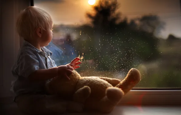 Drops, reflection, toy, child, boy, baby, bear, window